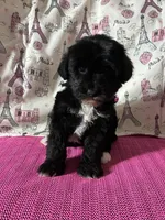 processed/0c431f10-5eaa-416a-8fc9-a8a6f345d2d6/listing/1c702b4a-1f2c-4ca3-a56e-76b06db5a800/7b05812e-9567-4fbc-8ff9-b1faa6b7364c