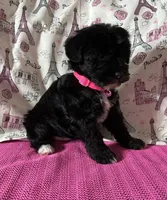 processed/0c431f10-5eaa-416a-8fc9-a8a6f345d2d6/listing/1c702b4a-1f2c-4ca3-a56e-76b06db5a800/aa92b843-ecef-4e7c-87ae-d3758f84ed56