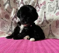 processed/0c431f10-5eaa-416a-8fc9-a8a6f345d2d6/listing/1c702b4a-1f2c-4ca3-a56e-76b06db5a800/b6d04e16-3a17-447a-a21b-cd95a38b2961