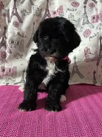 processed/0c431f10-5eaa-416a-8fc9-a8a6f345d2d6/listing/1c702b4a-1f2c-4ca3-a56e-76b06db5a800/c30b015a-fe01-4946-b15b-bccbcb4c8013