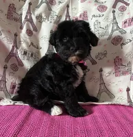 processed/0c431f10-5eaa-416a-8fc9-a8a6f345d2d6/listing/1c702b4a-1f2c-4ca3-a56e-76b06db5a800/e1d7da98-5b04-4c36-a2f8-0f2629bdcbe5