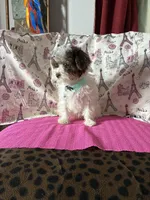 processed/0c431f10-5eaa-416a-8fc9-a8a6f345d2d6/listing/57bfc257-098c-465b-ae07-e68fc526684e/0d5a229d-06c5-4ec7-b0f1-590571c3c55b