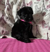 processed/0c431f10-5eaa-416a-8fc9-a8a6f345d2d6/listing/57bfc257-098c-465b-ae07-e68fc526684e/265ff4db-9c22-4b25-a036-5c773014f069