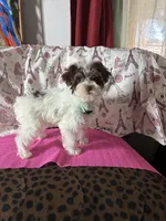 processed/0c431f10-5eaa-416a-8fc9-a8a6f345d2d6/listing/57bfc257-098c-465b-ae07-e68fc526684e/3f282b52-851c-4ad6-aca7-c7963d845fca