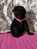 processed/0c431f10-5eaa-416a-8fc9-a8a6f345d2d6/listing/57bfc257-098c-465b-ae07-e68fc526684e/70eec0cf-ffea-4c17-b616-cd6eb19c48e4