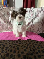 processed/0c431f10-5eaa-416a-8fc9-a8a6f345d2d6/listing/57bfc257-098c-465b-ae07-e68fc526684e/7d38c6b3-3b9d-426c-b960-213c773618f0