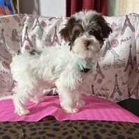 processed/0c431f10-5eaa-416a-8fc9-a8a6f345d2d6/listing/57bfc257-098c-465b-ae07-e68fc526684e/8f887ded-a8aa-41b5-a4dd-a90e0bd28cf3