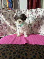 processed/0c431f10-5eaa-416a-8fc9-a8a6f345d2d6/listing/57bfc257-098c-465b-ae07-e68fc526684e/b91ab568-08f5-4913-ae0d-f5e04fadfabe