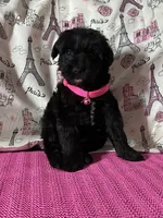 processed/0c431f10-5eaa-416a-8fc9-a8a6f345d2d6/listing/57bfc257-098c-465b-ae07-e68fc526684e/be1867bb-adf7-4995-9dde-2fef834f9a17