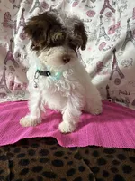 processed/0c431f10-5eaa-416a-8fc9-a8a6f345d2d6/listing/57bfc257-098c-465b-ae07-e68fc526684e/be79ce93-1289-4d7c-9a4f-f4f2fad104f8