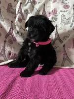 processed/0c431f10-5eaa-416a-8fc9-a8a6f345d2d6/listing/57bfc257-098c-465b-ae07-e68fc526684e/c6a02975-13d9-45dc-bf34-474cf04fa7f3