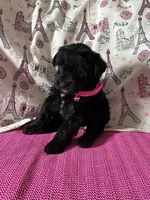 processed/0c431f10-5eaa-416a-8fc9-a8a6f345d2d6/listing/57bfc257-098c-465b-ae07-e68fc526684e/d9dca907-1824-4835-a050-e5c9e7cd123c