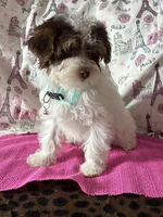 processed/0c431f10-5eaa-416a-8fc9-a8a6f345d2d6/listing/57bfc257-098c-465b-ae07-e68fc526684e/fbbe5087-83c8-498e-a053-7f1709e603c0