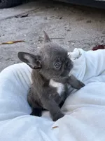 processed/0c4bf960-b4c6-465f-a6dd-3fccf60b0adc/listing/05738009-2fb3-4da6-acec-c7b7ea37c407/52fd9d0d-23ec-49d5-8d7a-ac0878a2b86e