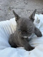 processed/0c4bf960-b4c6-465f-a6dd-3fccf60b0adc/listing/05738009-2fb3-4da6-acec-c7b7ea37c407/8df50287-9700-4d23-a3c0-2da0b1e74ba6