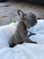 processed/0c4bf960-b4c6-465f-a6dd-3fccf60b0adc/listing/05738009-2fb3-4da6-acec-c7b7ea37c407/d35a34c1-0eae-43ba-964d-2e363126783b