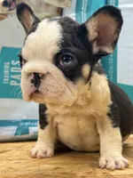 processed/0c4bf960-b4c6-465f-a6dd-3fccf60b0adc/listing/5d76c0bc-c3f7-42e6-bc78-ca61606770d3/54107544-92d0-4ce0-b8b1-591a63861699