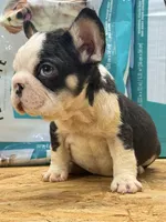 processed/0c4bf960-b4c6-465f-a6dd-3fccf60b0adc/listing/5d76c0bc-c3f7-42e6-bc78-ca61606770d3/e0d566c8-a024-40d5-9910-debfb2ab964e