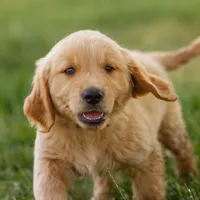 processed/0c5b3d8c-3c9f-4f04-8e6f-4c711f405d3a/facility/532f62a0-23fa-4152-bc97-8f7d97169c19