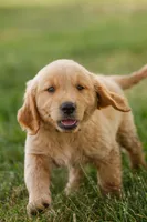 processed/0c5b3d8c-3c9f-4f04-8e6f-4c711f405d3a/facility/532f62a0-23fa-4152-bc97-8f7d97169c19