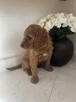 processed/0c5d8bf2-fb22-4c62-a300-ea5abb282b47/facility/2354a004-ee42-4a3c-bc7f-a16a3fbc9cb8