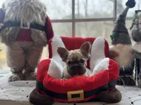 processed/0c6011ea-c168-4f2f-aba1-2a3bff0d1ae4/listing/35853d81-af8d-499e-9de0-b6374feca1e1/844629ab-b06d-49b4-ad10-4bde3dd1c481