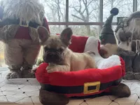 processed/0c6011ea-c168-4f2f-aba1-2a3bff0d1ae4/listing/35853d81-af8d-499e-9de0-b6374feca1e1/a9ca6906-9ebb-4933-a9b9-dd0c62b6cd8f