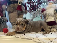 processed/0c6011ea-c168-4f2f-aba1-2a3bff0d1ae4/listing/836938eb-e71f-44a4-a5d6-4b190ca039dc/16aff32a-8d3d-42b1-bad7-a8b0905aaa11