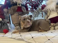 processed/0c6011ea-c168-4f2f-aba1-2a3bff0d1ae4/listing/836938eb-e71f-44a4-a5d6-4b190ca039dc/33b4b66c-a99c-462f-8e8a-fb1d68a8b02f