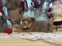 processed/0c6011ea-c168-4f2f-aba1-2a3bff0d1ae4/listing/836938eb-e71f-44a4-a5d6-4b190ca039dc/fc4a1373-ab39-4969-ae6c-99fd8d168195