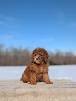 processed/0c613d7e-419b-4996-b25f-5cfbbaf441dd/listing/15548509-d9ab-44a6-bd05-6aa60629a0d1/2a698a56-5cb9-42f4-ad3e-53c85baa3f3f