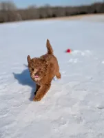 processed/0c613d7e-419b-4996-b25f-5cfbbaf441dd/listing/15548509-d9ab-44a6-bd05-6aa60629a0d1/53a99363-ba81-4442-88a2-5532ad9477d0