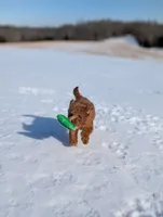 processed/0c613d7e-419b-4996-b25f-5cfbbaf441dd/listing/15548509-d9ab-44a6-bd05-6aa60629a0d1/5ca47f4e-9e70-4f8e-bad1-974ac00b18cb