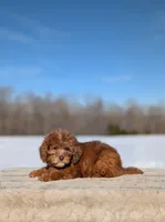 processed/0c613d7e-419b-4996-b25f-5cfbbaf441dd/listing/15548509-d9ab-44a6-bd05-6aa60629a0d1/79394a27-ef56-4029-8acf-b0b8465f48ec