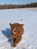 processed/0c613d7e-419b-4996-b25f-5cfbbaf441dd/listing/15548509-d9ab-44a6-bd05-6aa60629a0d1/bc0c0eff-b832-47ad-8c22-f408f0727c84