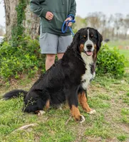 processed/0c613d7e-419b-4996-b25f-5cfbbaf441dd/listing/9b145ad1-cecc-46d9-ae2c-8c3bcf300899/3653ce4c-c181-450a-b9e9-006b123d31c5