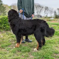 processed/0c613d7e-419b-4996-b25f-5cfbbaf441dd/listing/9b145ad1-cecc-46d9-ae2c-8c3bcf300899/cf787ff5-2425-4e5b-88cd-f314ae3a6b30