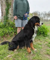 processed/0c613d7e-419b-4996-b25f-5cfbbaf441dd/listing/9b145ad1-cecc-46d9-ae2c-8c3bcf300899/f0a8babd-36cd-40bb-8c3a-79b56e998b55