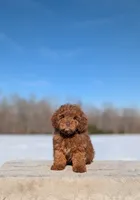 processed/0c613d7e-419b-4996-b25f-5cfbbaf441dd/listing/bc84cd5f-c09b-41c3-a6a3-8fc59eb58d97/3ed2815f-a635-470e-90fd-41fa7f39a8f6