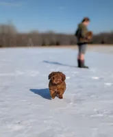 processed/0c613d7e-419b-4996-b25f-5cfbbaf441dd/listing/bc84cd5f-c09b-41c3-a6a3-8fc59eb58d97/67339c18-8b47-4574-b0b2-29aedb9f2a3f