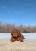 processed/0c613d7e-419b-4996-b25f-5cfbbaf441dd/listing/bc84cd5f-c09b-41c3-a6a3-8fc59eb58d97/68eb87a3-2500-4f2b-a384-6c0e6a4ea7cb