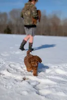 processed/0c613d7e-419b-4996-b25f-5cfbbaf441dd/listing/bc84cd5f-c09b-41c3-a6a3-8fc59eb58d97/90e322dc-fb5f-4945-b3e5-4cf56635a9f3