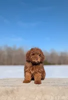 processed/0c613d7e-419b-4996-b25f-5cfbbaf441dd/listing/bc84cd5f-c09b-41c3-a6a3-8fc59eb58d97/c1614fed-41c7-4199-b7bf-d6fa4a03d1bd