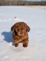 processed/0c613d7e-419b-4996-b25f-5cfbbaf441dd/listing/bc84cd5f-c09b-41c3-a6a3-8fc59eb58d97/da34c9ee-5784-4e2c-baca-d133a0e52235