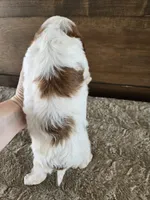 processed/0c613d7e-419b-4996-b25f-5cfbbaf441dd/listing/d8f92440-3fda-48af-9cfe-bc7f0aabf239/5dc295c5-333b-472b-834d-6d2a71c5fe5e