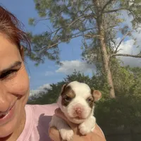 processed/0c6de4eb-722c-4ffc-bfdb-cd13d8795d7c/facility/97395db5-a7ef-452f-85a4-eb0aedde953c