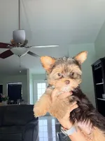 processed/0c6de4eb-722c-4ffc-bfdb-cd13d8795d7c/listing/1dd8379a-2b9d-4a74-9fb5-55e74532f616/ae68bdfa-4785-4a06-98ff-a9c019dbbf8a