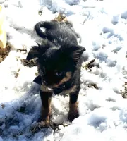 processed/0c7100a5-2661-44e7-8544-016b1b5a3388/listing/0b67b34b-9253-40ad-b206-7896148b4652/0a13e233-0ca4-4b2a-994a-5474d6a9a686