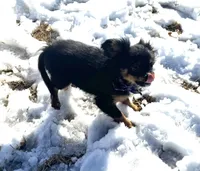 processed/0c7100a5-2661-44e7-8544-016b1b5a3388/listing/0b67b34b-9253-40ad-b206-7896148b4652/5a63075c-22ee-442c-9382-06e85248a4b1