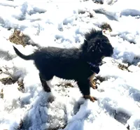 processed/0c7100a5-2661-44e7-8544-016b1b5a3388/listing/0b67b34b-9253-40ad-b206-7896148b4652/73587a27-f809-4f5a-9f2e-85a4303df51d